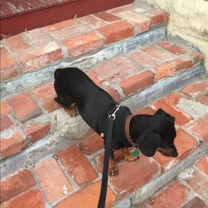 Meet your Posher, Cody